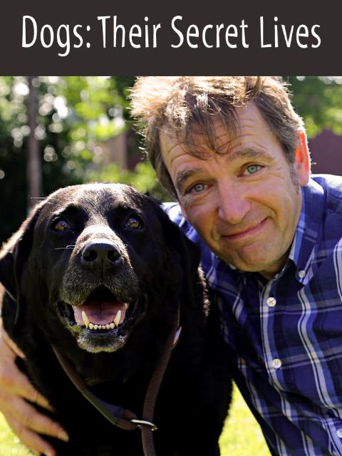 狗狗的秘密生活第一季(全集)