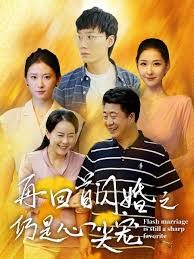 再回首闪婚之仍是心尖宠(全集)