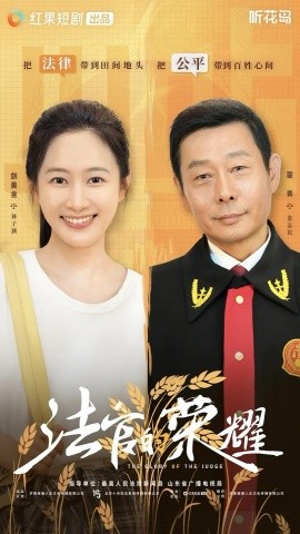 法官的荣耀(全集)